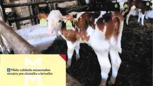 dňa 25.3.2025 13:00 vláda SR vyhlásila mimoriadnu situáciu na celom území SR 1